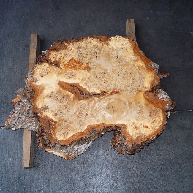 Mappa Burl slab, approx. 1100 x 900 x 60 mm, 40493