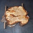 Mappa Burl slab, approx. 1100 x 900 x 60 mm, 40493