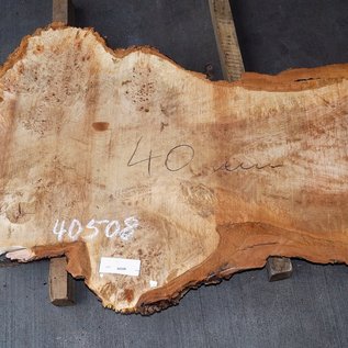 Mappa Burl slab, approx. 1350 x 600 x 40 mm, 40508