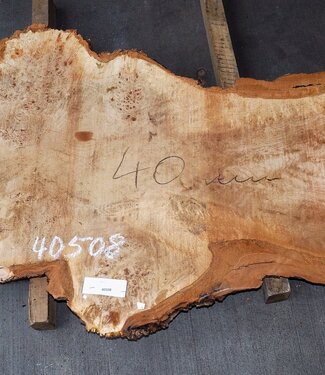 Mappa Burl slab, approx. 1350 x 600 x 40 mm, 40508