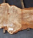 Mappa Burl slab, approx. 1350 x 600 x 40 mm, 40508