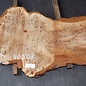 Mappa Burl slab, approx. 1350 x 600 x 40 mm, 40508