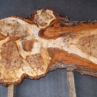 Mappa Burl slab, approx. 1350 x 600 x 40 mm, 40508