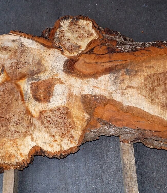 Mappa Burl slab, approx. 1350 x 600 x 40 mm, 40508