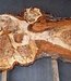 Mappa Burl slab, approx. 1350 x 600 x 40 mm, 40508
