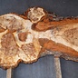 Mappa Burl slab, approx. 1350 x 600 x 40 mm, 40508