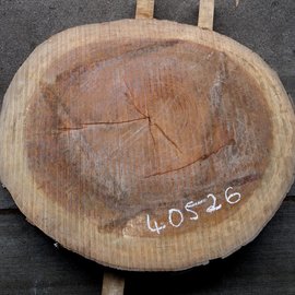 Bubinga Slab, Ø approx. 900 x 70 mm thickness, 40526