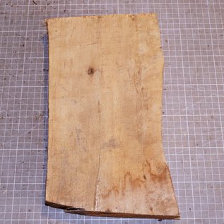 Birch approx. 290 x 150 x 40 mm, 1,3 kg