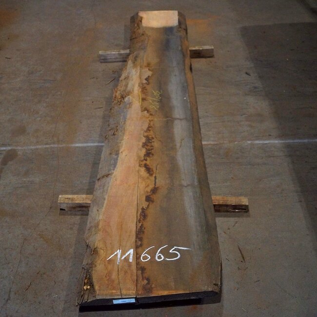 Amouk, Boiré, table top, approx. 3000 x 380 x 45 mm, 11665