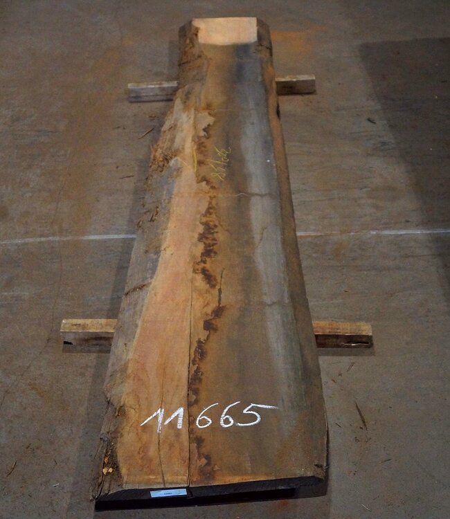 Amouk, Boiré, table top, approx. 3000 x 380 x 45 mm, 11665