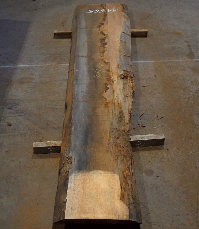 Amouk, Boiré, Tischplatte, ca. 3000 x 380 x 45 mm, 11665