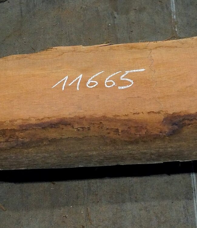 Amouk, Boiré, table top, approx. 3000 x 380 x 45 mm, 11665