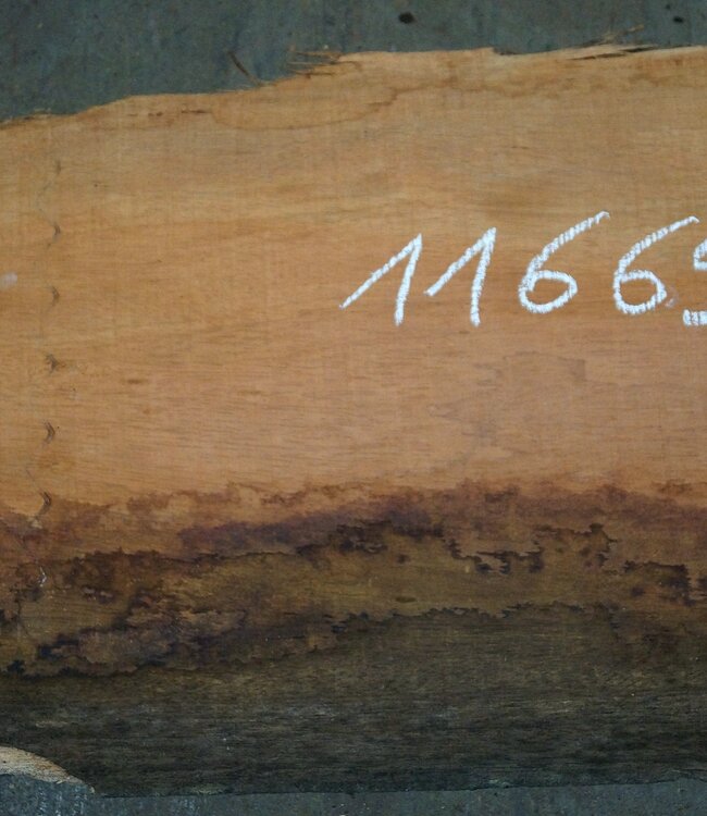 Amouk, Boiré, Tischplatte, ca. 3000 x 380 x 45 mm, 11665