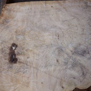 Spruce burl, table top, approx. 970 x 820 x 52 mm, 40550