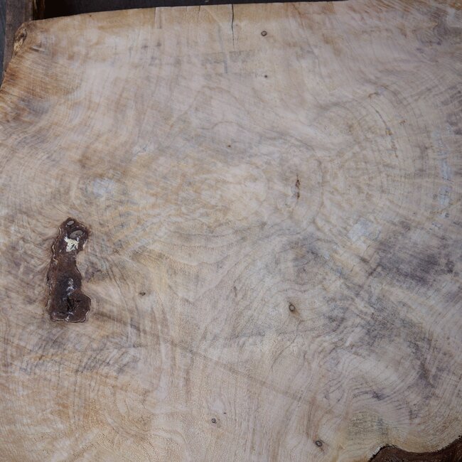 Spruce burl, table top, approx. 970 x 820 x 52 mm, 40550