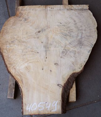 Spruce burl, table top, approx. 960 x 840 x 52 mm, 40549