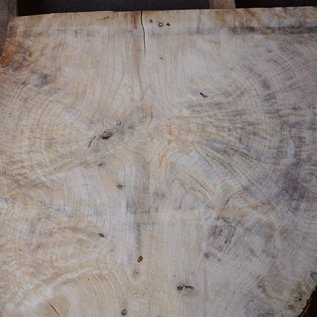 Spruce burl, table top, approx. 960 x 840 x 52 mm, 40549