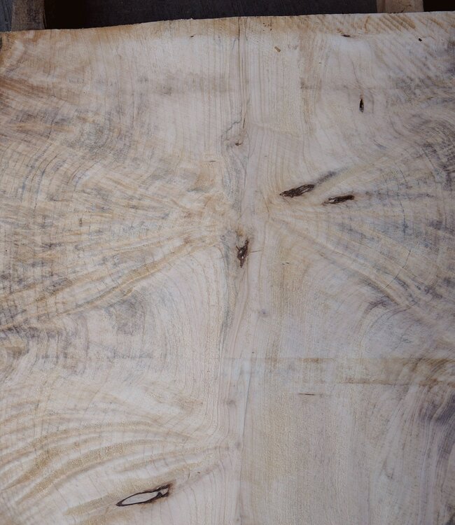 Spruce burl, table top, approx. 960 x 830 x 52 mm, 40548