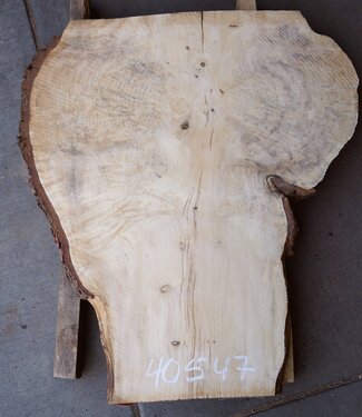 Spruce burl, table top, approx. 960 x 780 x 52 mm, 40547