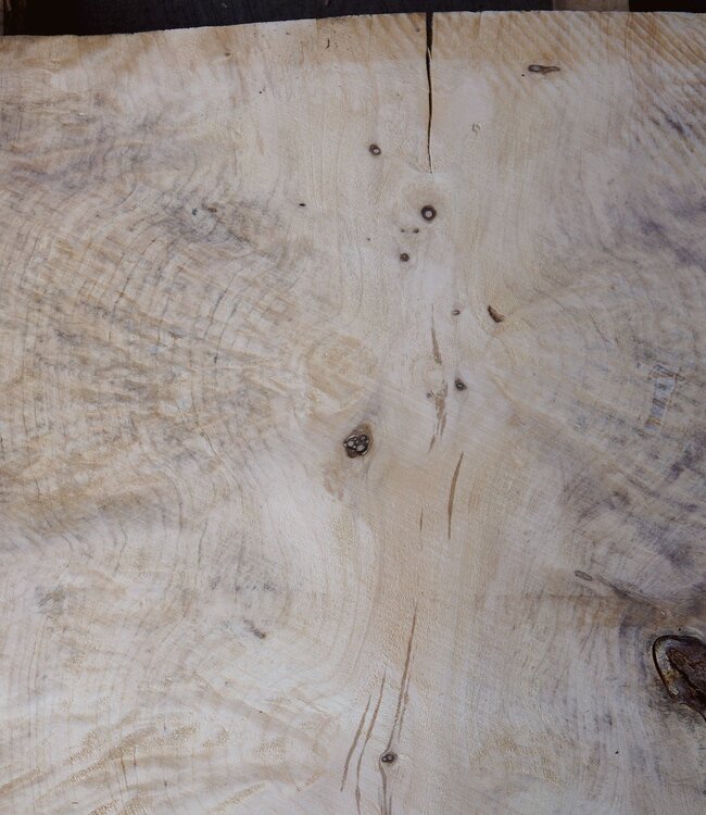 Spruce burl, table top, approx. 960 x 780 x 52 mm, 40547