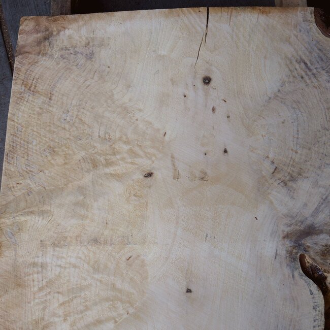 Spruce burl, table top, approx. 950 x 640 x 52 mm, 40546