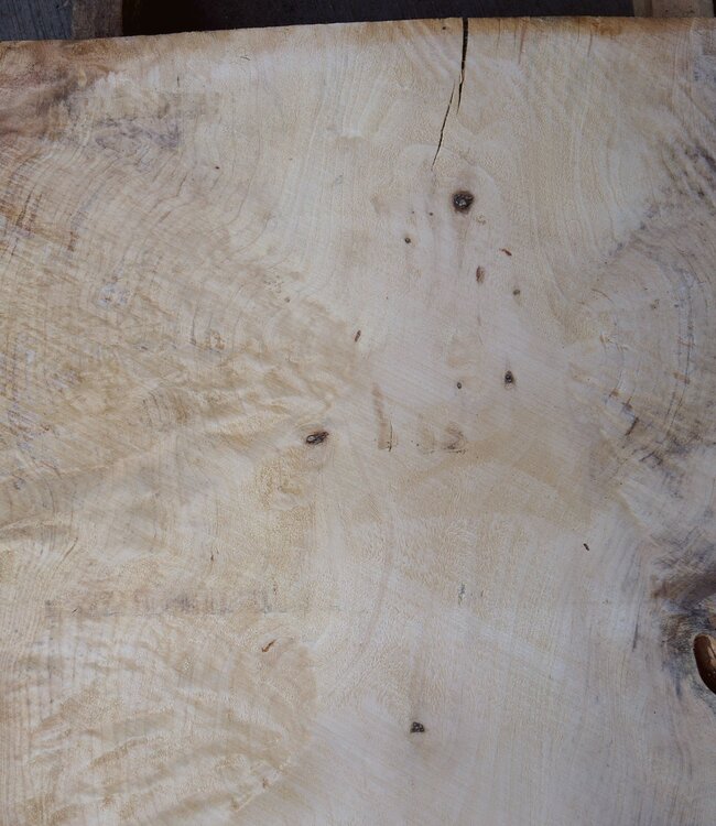 Spruce burl, table top, approx. 950 x 640 x 52 mm, 40546