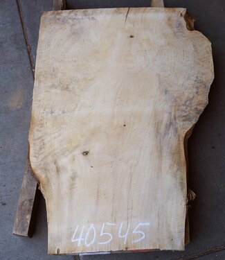 Spruce burl, table top, approx. 940 x 630 x 52 mm, 40545