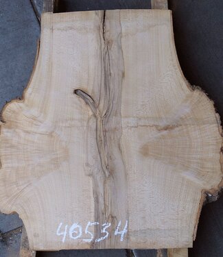 Buche Maser, Tischplatte, ca. 800 x 720 x 52 mm, 40534