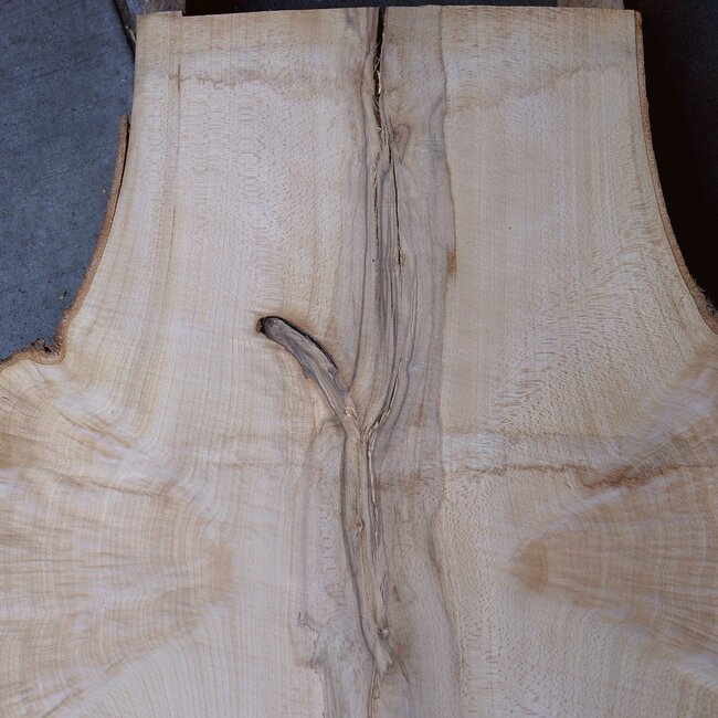 Buche Maser, Tischplatte, ca. 800 x 720 x 52 mm, 40534