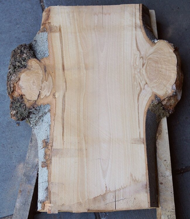 Beech burl, table top, approx. 790 x 630 x 52 mm, 40532