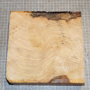Ash fiddleback approx. 215 x 213 x 52 mm, 1,9 kg