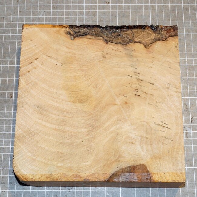 Esche Riegel ca. 215 x 213 x 52 mm, 1,9 kg