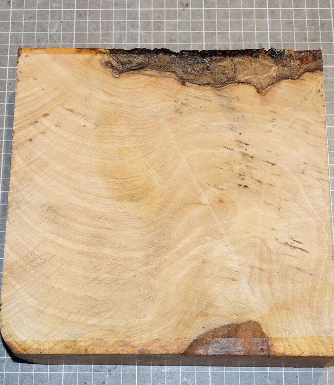 Esche Riegel ca. 215 x 213 x 52 mm, 1,9 kg