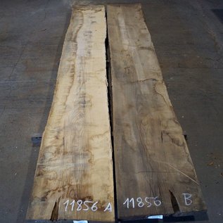 Ash table top pair, mirror cut, approx. 3850 x 580/540 x 52 mm, 11856