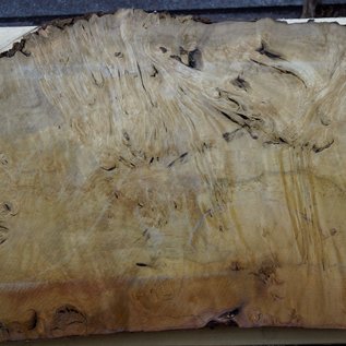 Laurel, burl slab, approx. 920 x 530 x 65 mm, 40552