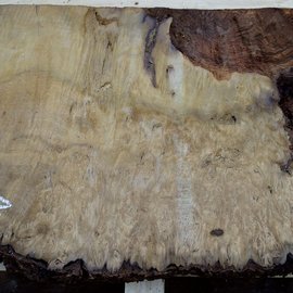 Laurel, burl slab, approx. 900 x 500 x 63 mm, 40553