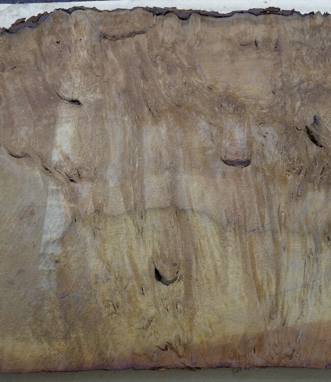 Laurel, burl slab, approx. 900 x 500 x 63 mm, 40553