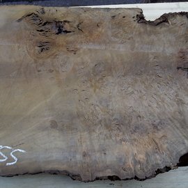 Laurel, burl slab, approx. 960 x 630 x 63 mm, 40555