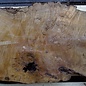 Laurel, burl slab, approx. 960 x 630 x 63 mm, 40555