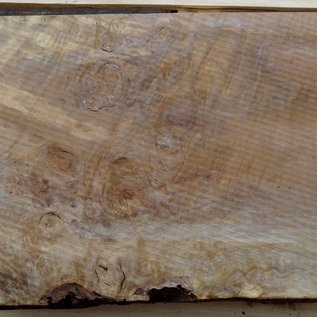 Laurel, burl slab, approx. 690 x 410 x 68 mm, 40727