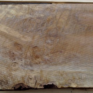 Laurel, burl slab, approx. 690 x 410 x 68 mm, 40727