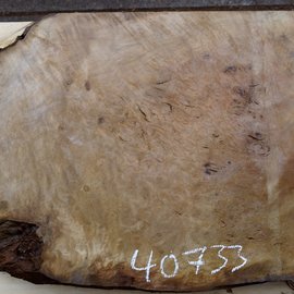 Laurel, burl slab, approx. 840 x 680 x 65 mm, 40733