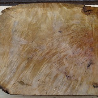 Laurel, burl slab, approx. 840 x 680 x 65 mm, 40733