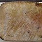 Laurel, burl slab, approx. 840 x 680 x 65 mm, 40733