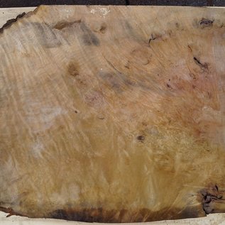 Laurel, burl slab, approx. 800 x 650 x 65 mm, 40738