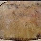 Laurel, burl slab, approx. 800 x 650 x 65 mm, 40738