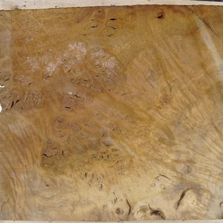 Laurel, burl slab, approx. 770 x 580 x 65 mm, 40740