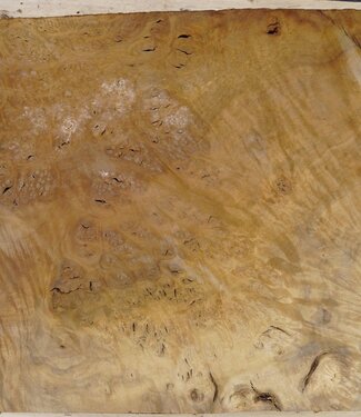 Laurel, Maserplatte, ca. 770 x 580 x 65 mm, 40740