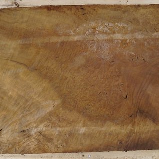 Laurel, burl slab, approx. 770 x 580 x 65 mm, 40740