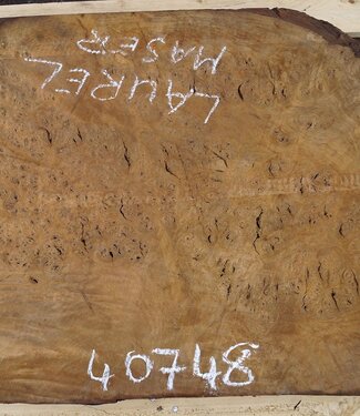 Laurel, Maserplatte, ca. 1050 x 610 x 65 mm, 40748
